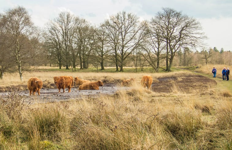 Natuurhuisje in Vlagtwedde (Jipsinghuizen)