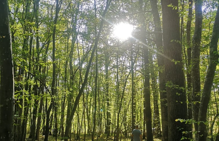 Natuurhuisje in Bétête