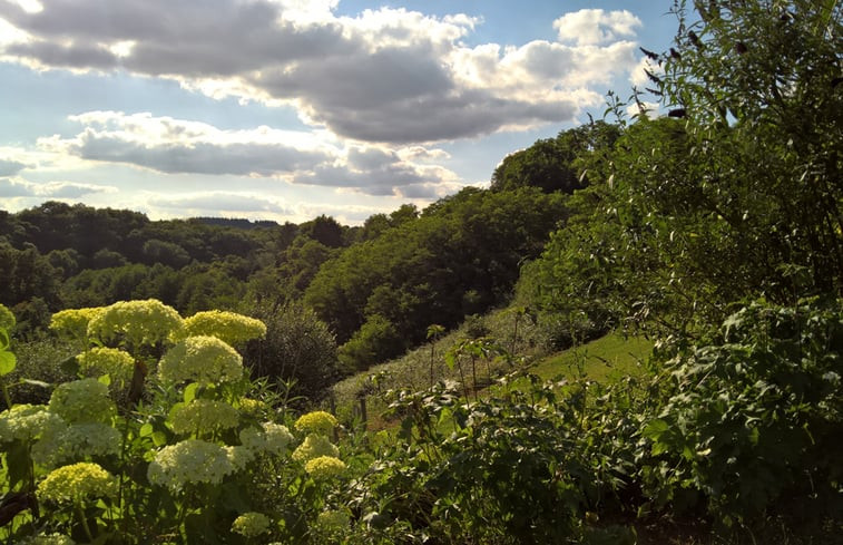 Natuurhuisje in Saint Auvent