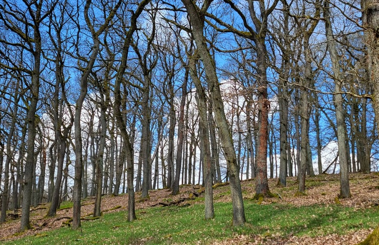 Natuurhuisje in Frankenau