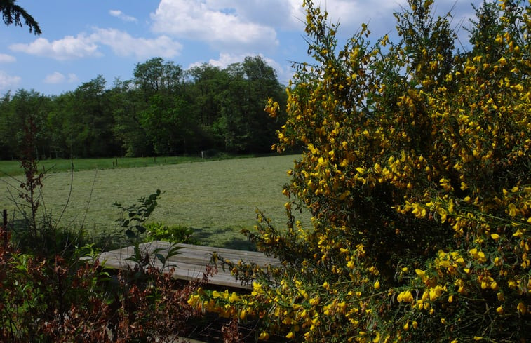 Natuurhuisje in Dwingeloo / Lhee