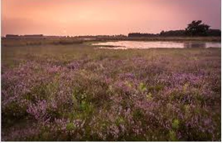 Natuurhuisje in Mierlo