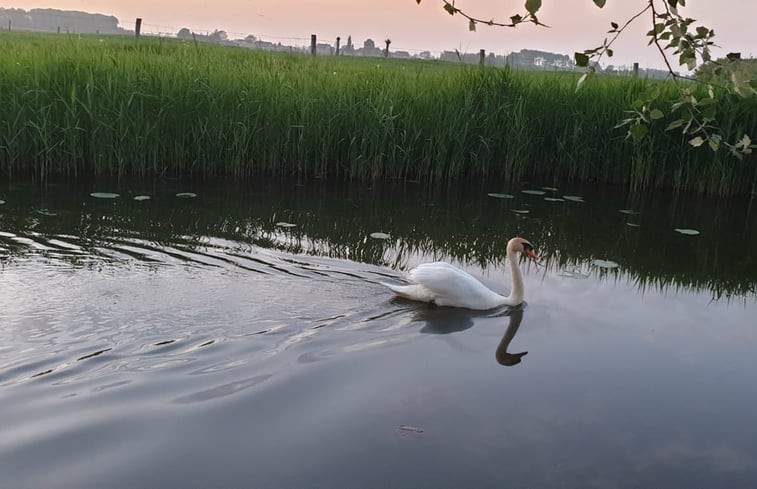 Natuurhuisje in Hank