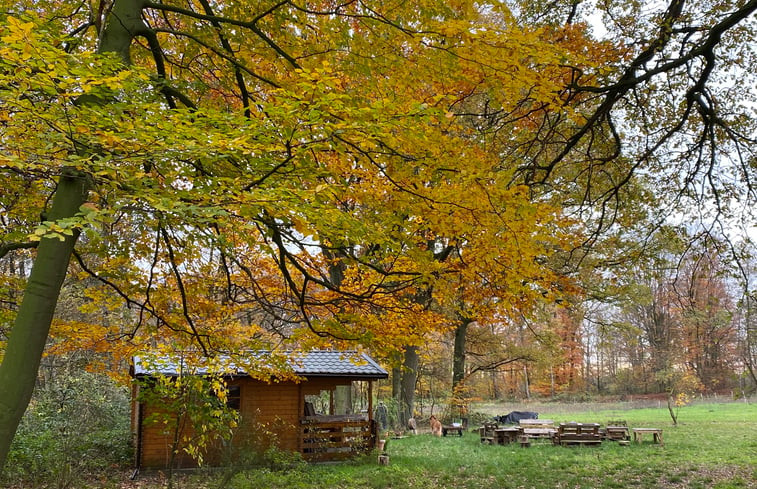 Natuurhuisje in Saerbeck