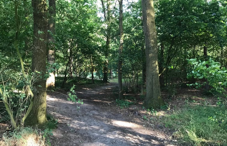 Natuurhuisje in de Lutte