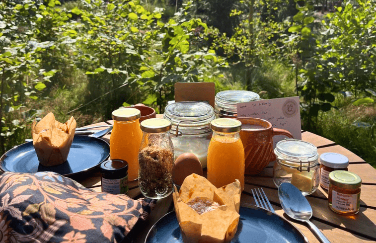 Natuurhuisje in Bellingwolde