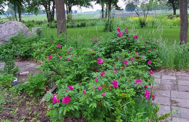 Natuurhuisje in Bronneger