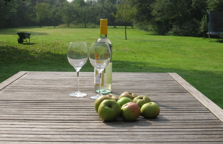 Natuurhuisje in Boerakker