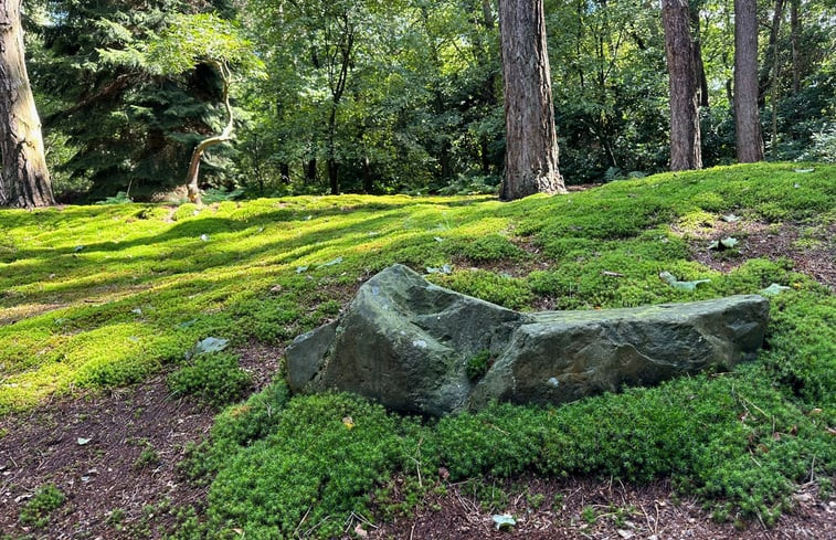 Natuurhuisje in Dalfsen