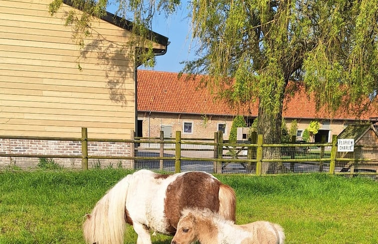 Natuurhuisje in Middelkerke