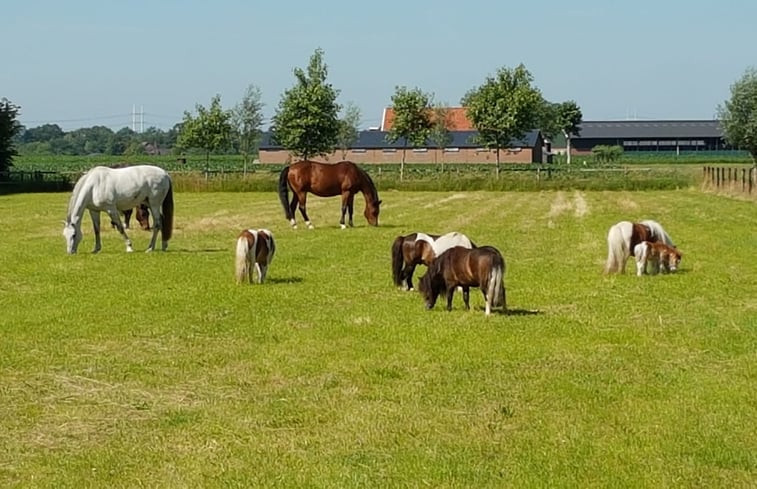 Natuurhuisje in Sinderen