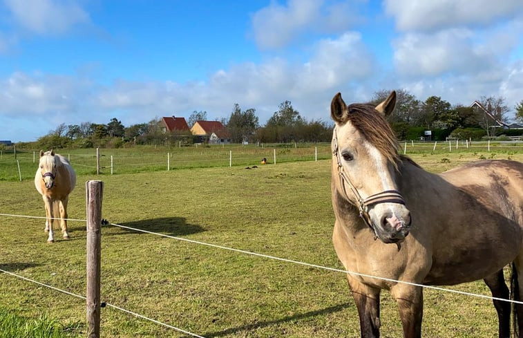 Natuurhuisje in Den Burg