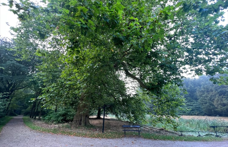 Natuurhuisje in Voorschoten