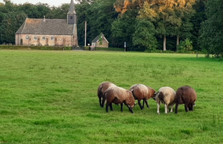 Natuurhuisje in Wijnjewoude