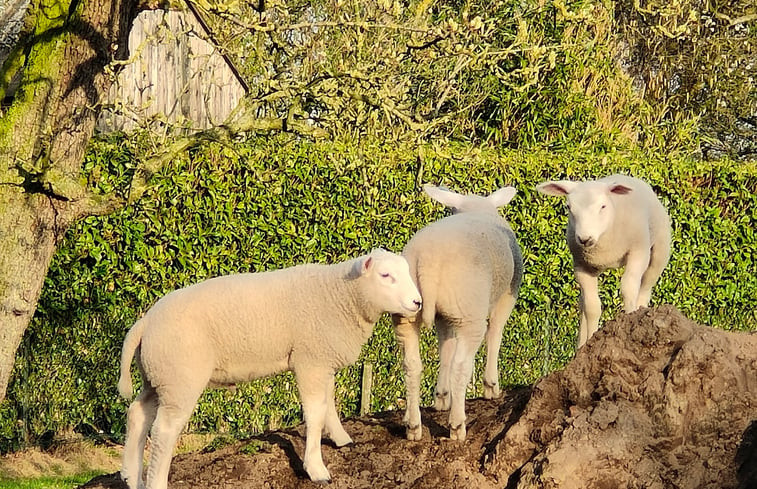 Natuurhuisje in Mierlo