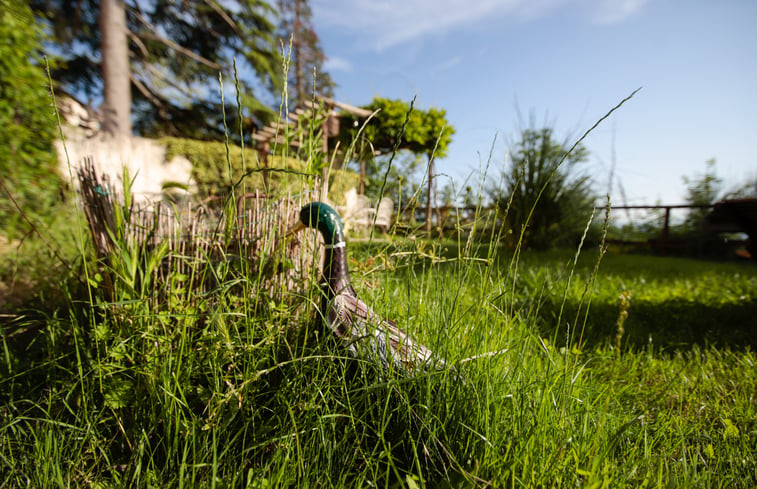 Natuurhuisje in Ponzone