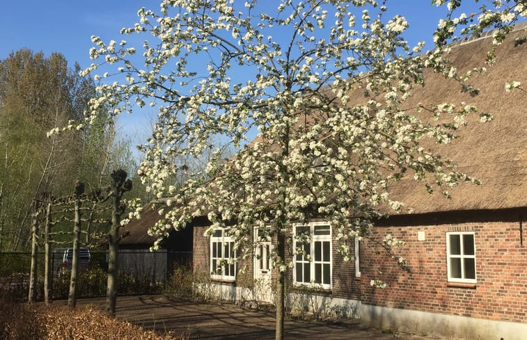 Natuurhuisje in Lennisheuvel (Boxtel)