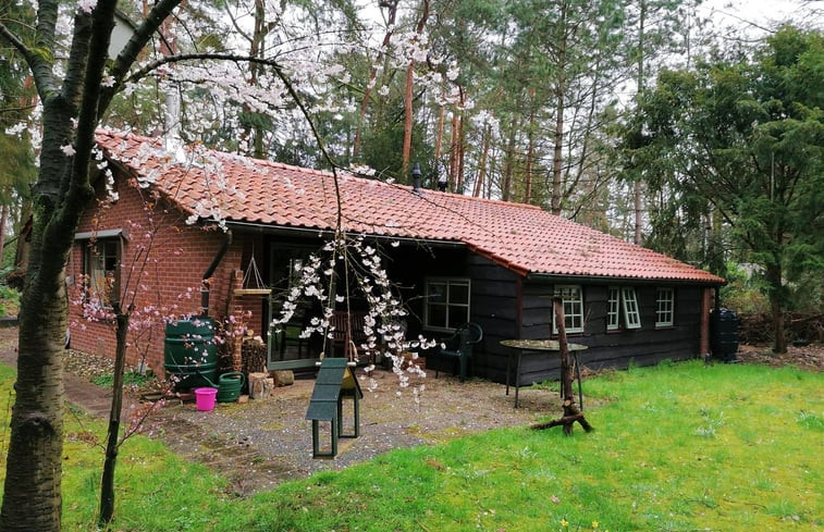 Natuurhuisje in Winterswijk