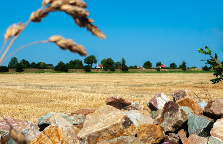 Natuurhuisje in Zonnemaire