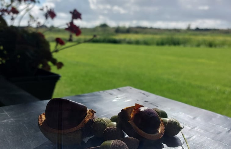 Natuurhuisje in Munnekeburen