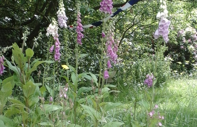 Natuurhuisje in Boijl