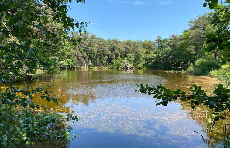 Natuurhuisje in Oisterwijk