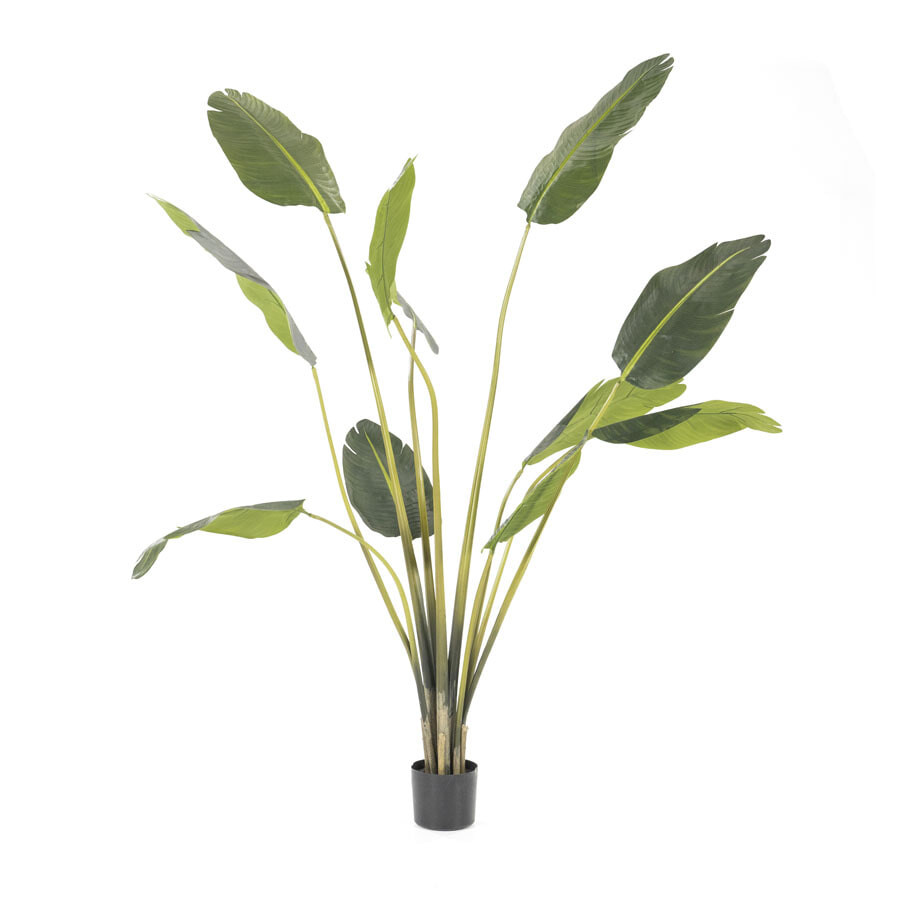 By-Boo Kunstplant Strelitzia - Groen