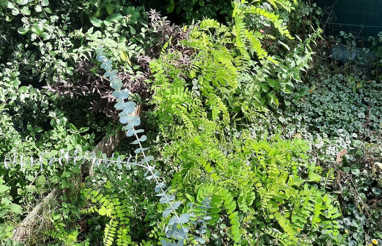 Natuurhuisje in Lanaken