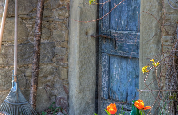 Natuurhuisje in cortona