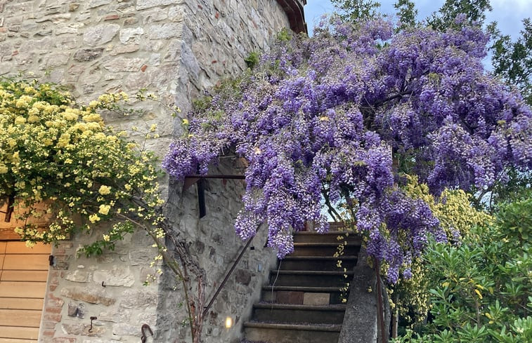 Natuurhuisje in Monte Castello di Vibio