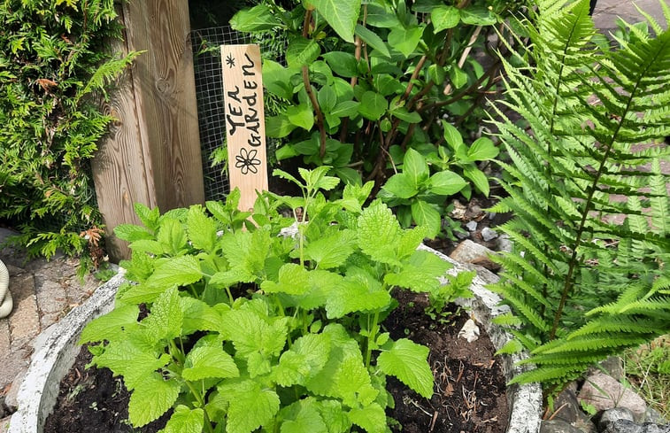 Natuurhuisje in De Pol