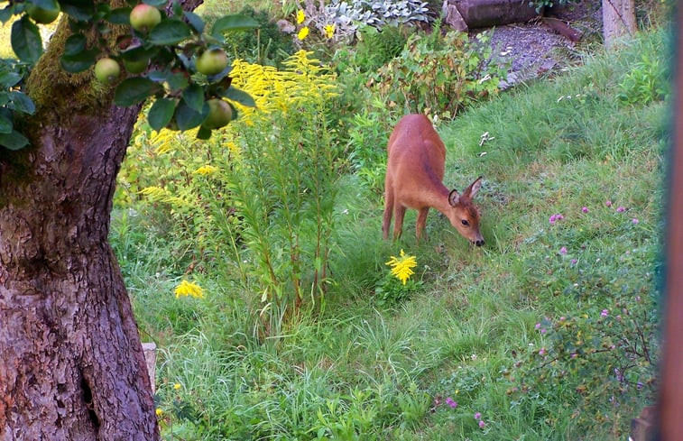 Natuurhuisje in Hinterhermsdorf