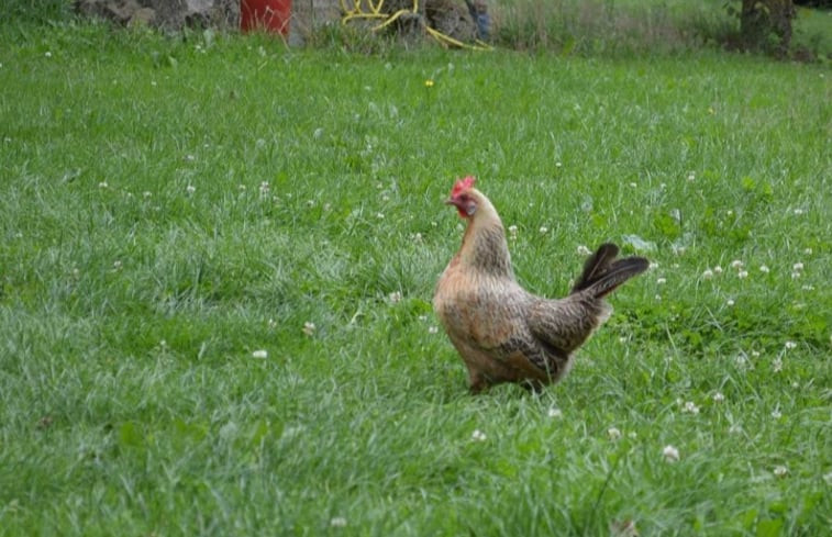 Natuurhuisje in Mander