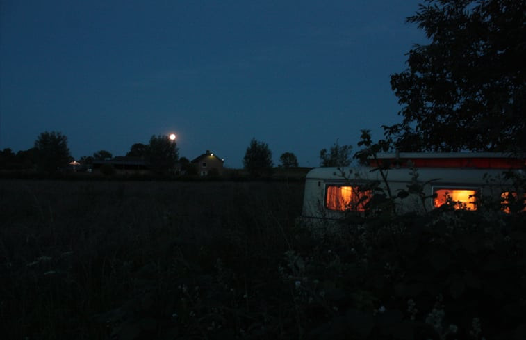 Natuurhuisje in Maasbommel