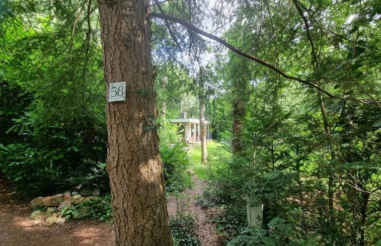 Natuurhuisje in Wateren