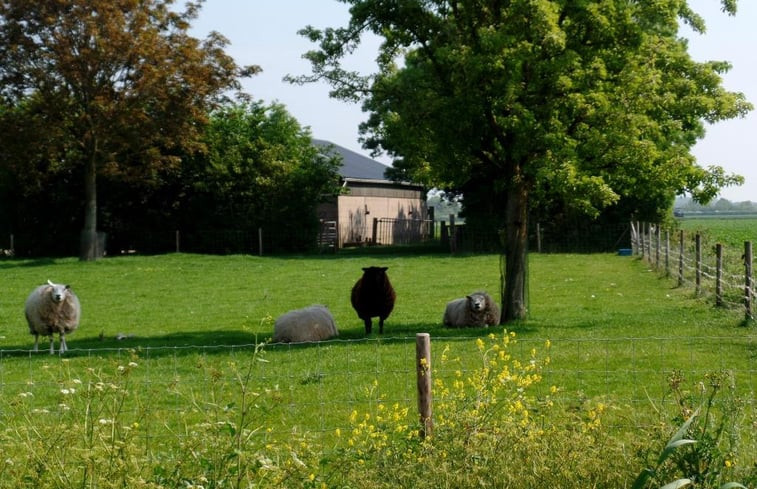 Natuurhuisje in Zonnemaire