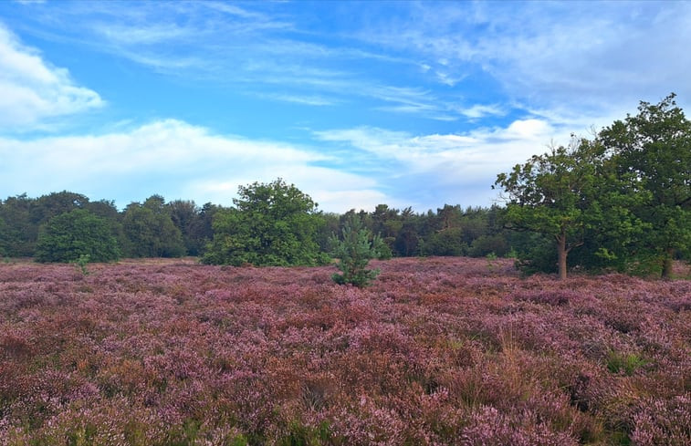 Natuurhuisje in Schijf