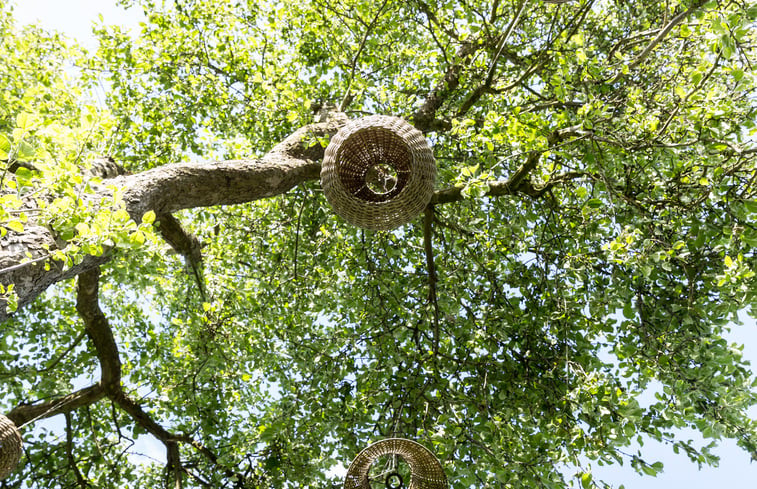 Natuurhuisje in Hemelum