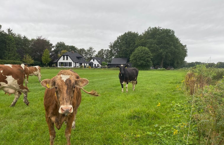 Natuurhuisje in Dalen (dorp)