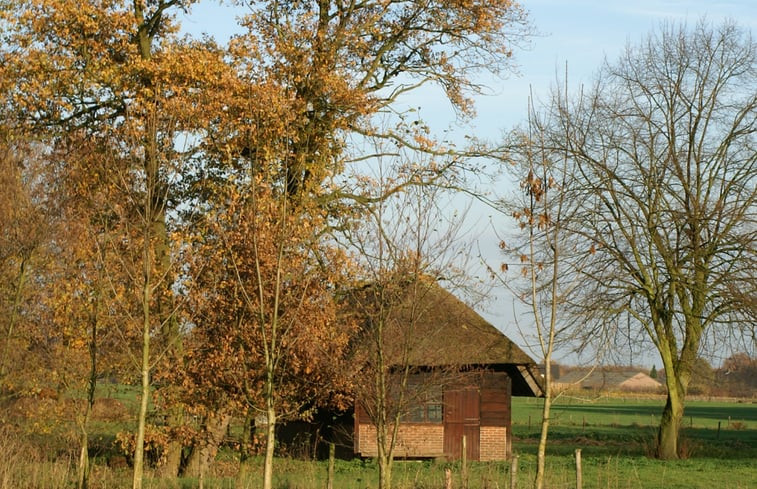 Natuurhuisje in Baarschot (Hilvarenbeek)