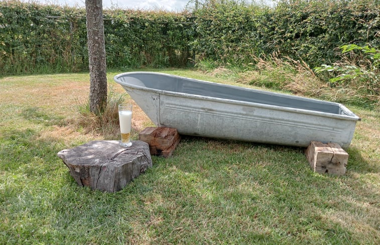 Natuurhuisje in Geesteren