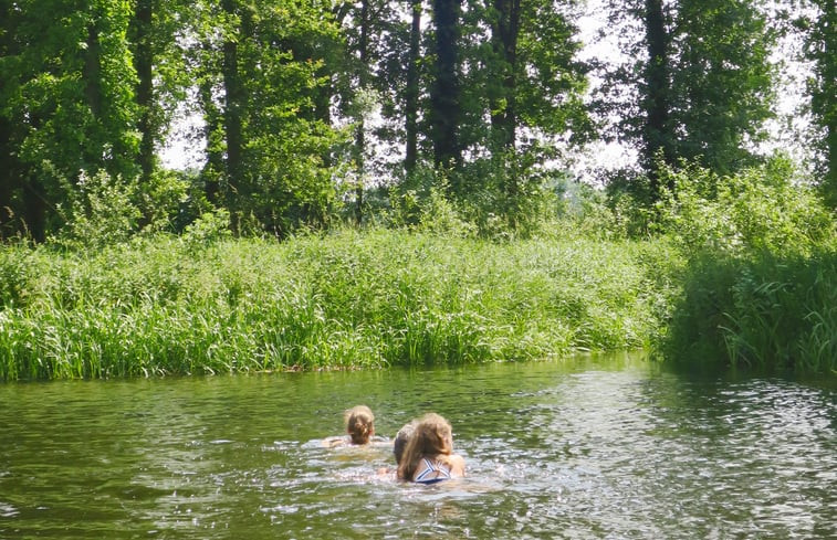 Natuurhuisje in Geesteren