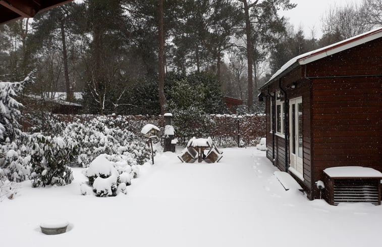 Natuurhuisje in Emst