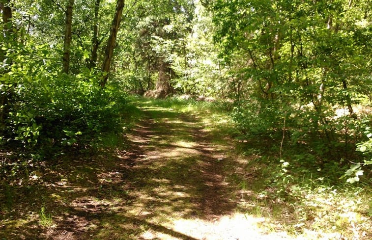 Natuurhuisje in Makkum (Friesland)