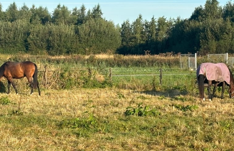 Natuurhuisje in Lutjebroek