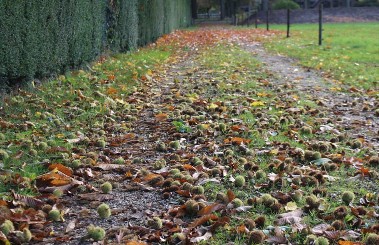 Natuurhuisje in Epe