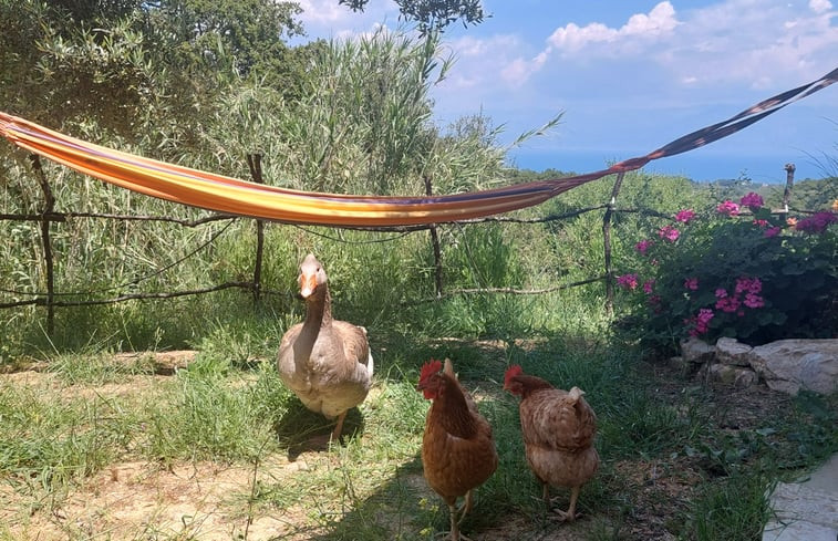 Natuurhuisje in Petalidi