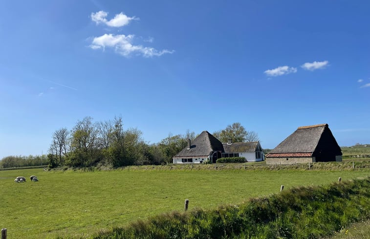 Natuurhuisje in Den Burg