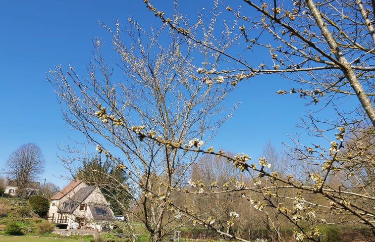 Natuurhuisje in sazeray