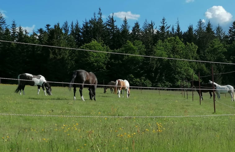 Natuurhuisje in Schöfweg